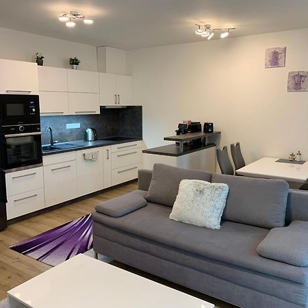 Apartman S Vyhlidkou Horní Maršov Kültér fotó