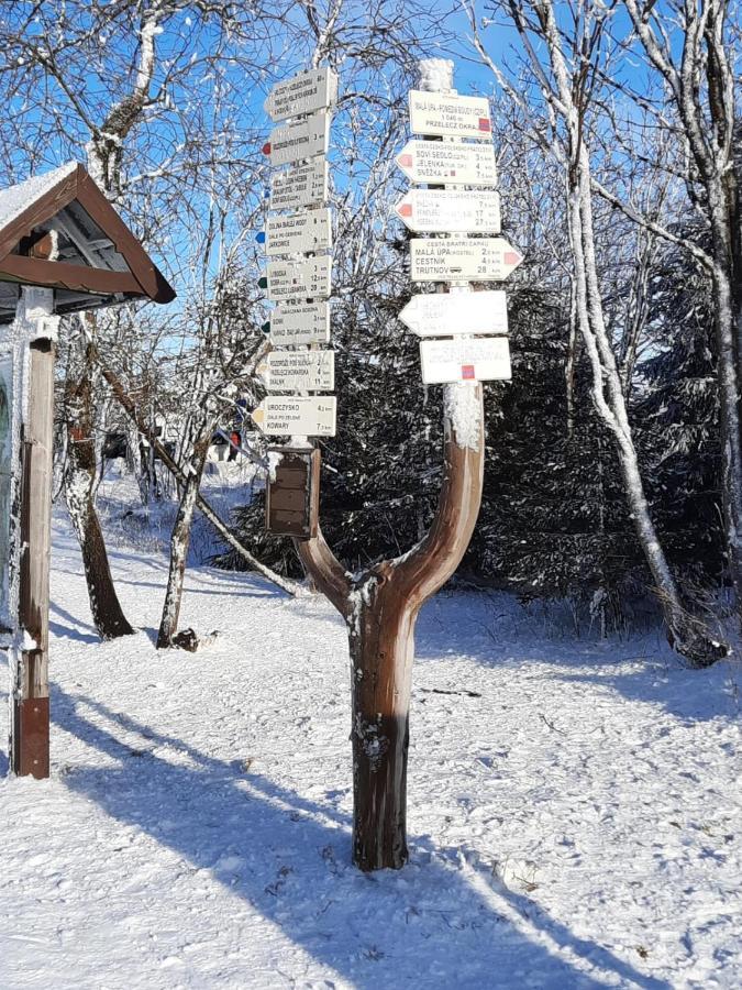 Apartman S Vyhlidkou Horní Maršov Kültér fotó
